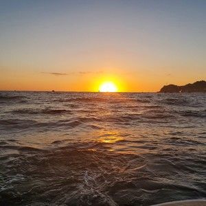 Meet your Posher, Robin